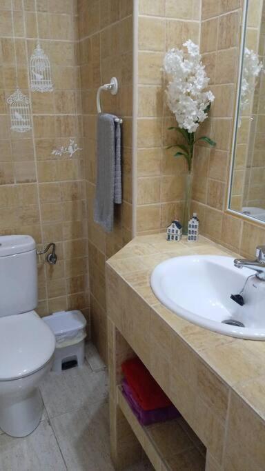 Acogedor Apartamento Jv36 Κόρδοβα Εξωτερικό φωτογραφία